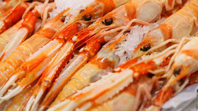 An image of nephrops being stored on ice