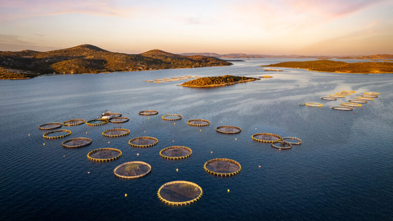 Image of ASC seabass farm in Croatia