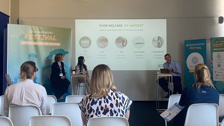 Image of three people giving a panel presentation on aquatic animal welfare to an audience at OCEANOVATION Festival 2024