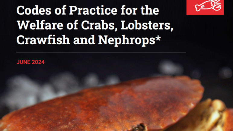 Image of front cover of Codes of Practice for the Welfare of Crabs, Lobsters, Crawfish and Nephrops