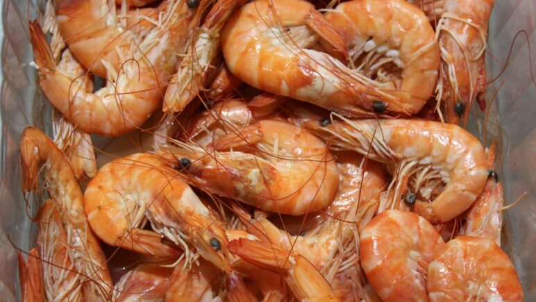 Image of dead fresh shrimp in a container